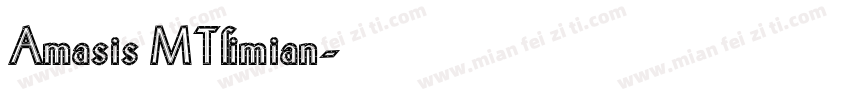 Amasis MT_mian字体转换
